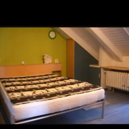 Gemuetliche Dachwohnung كروناخ